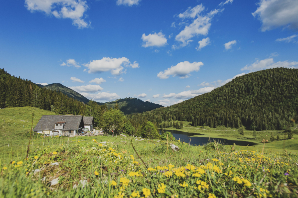 Auerhütte am Seewaldsee am Fuße des Trattberg am Rande des Tennengebirges im Tennengau, Salzburg, Österreich.