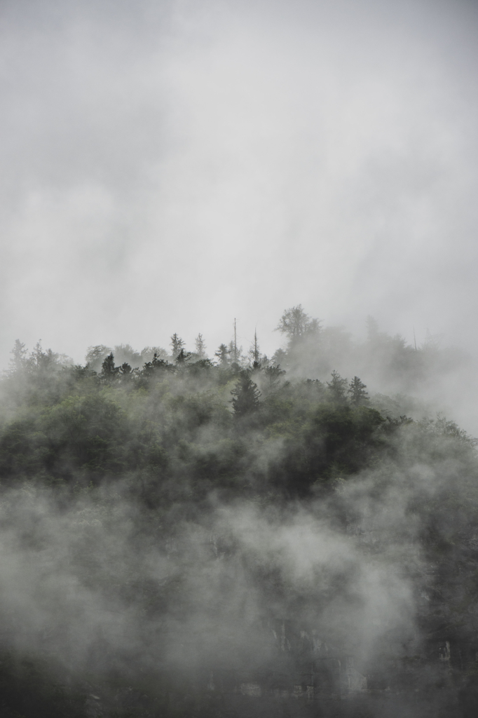 Mystische Regenstimmung mit Nebel im Salzburger Bluntautal im Tennengau, Salzburg, Salzburger Land, Österreich.