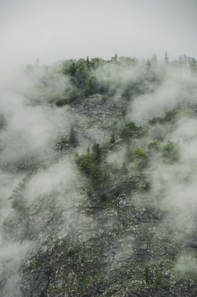 Mystische Regenstimmung mit Nebel im Salzburger Bluntautal im Tennengau, Salzburg, Salzburger Land, Österreich.