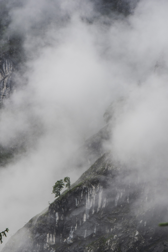 Mystische Regenstimmung mit Nebel im Salzburger Bluntautal im Tennengau, Salzburg, Salzburger Land, Österreich.