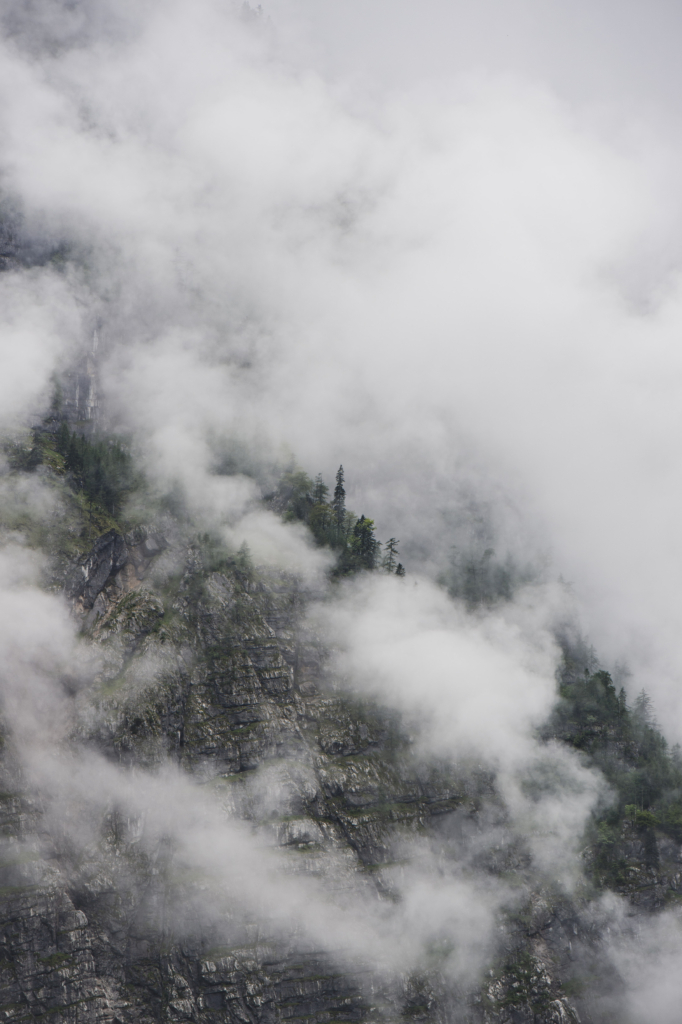 Mystische Regenstimmung mit Nebel im Salzburger Bluntautal im Tennengau, Salzburg, Salzburger Land, Österreich.