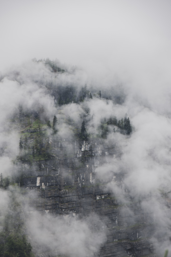 Mystische Regenstimmung mit Nebel im Salzburger Bluntautal im Tennengau, Salzburg, Salzburger Land, Österreich.