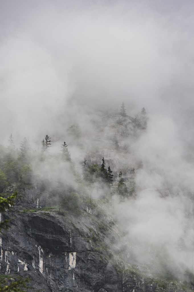 Mystische Regenstimmung mit Nebel im Salzburger Bluntautal im Tennengau, Salzburg, Salzburger Land, Österreich.