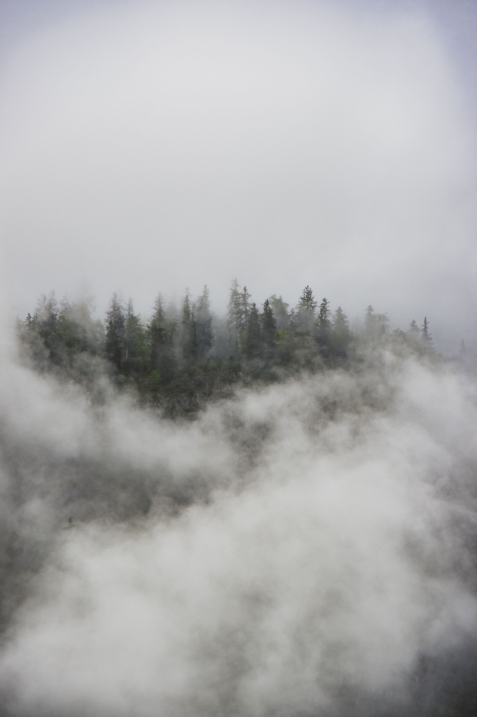 Mystische Regenstimmung mit Nebel im Salzburger Bluntautal im Tennengau, Salzburg, Salzburger Land, Österreich.