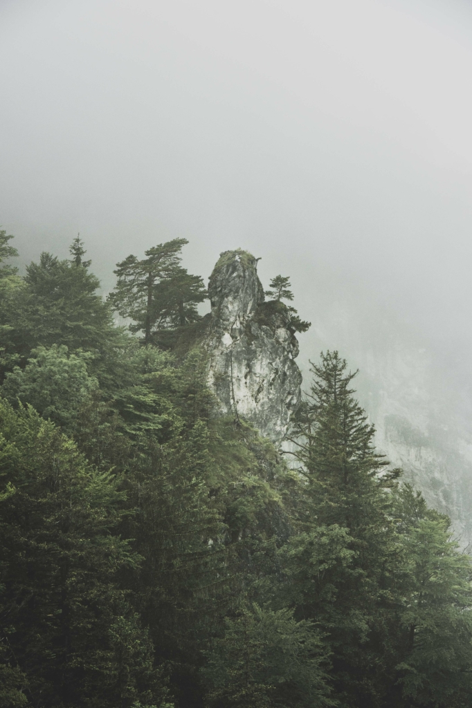 Nebelstimmung am Nockstein am Fuße des Gaisberg in Koppl bei Salzburg, Österreich.