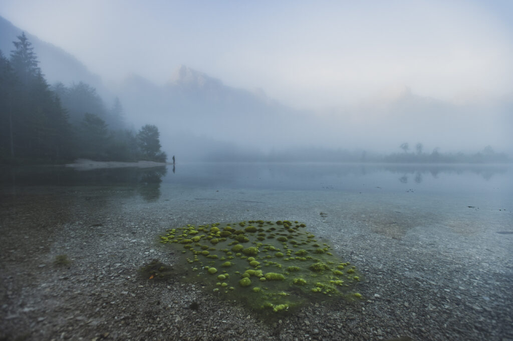 Morgenstimmung mit Nebel am Almsee im Almtal im Salzkammergut, Oberösterreich, Österreich.