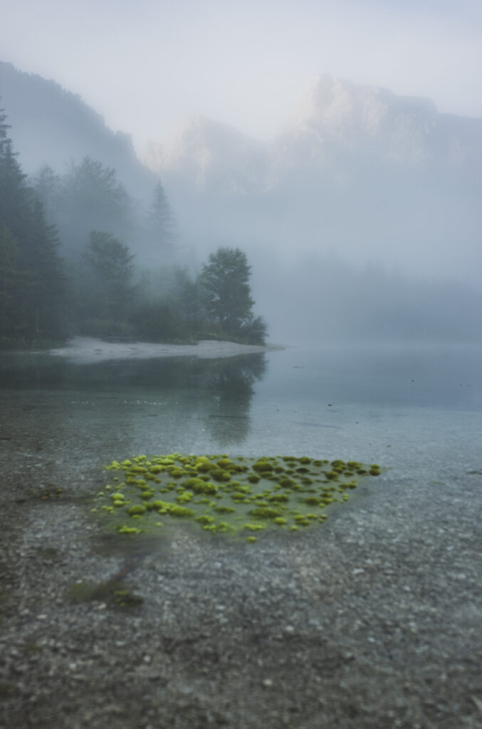 Morgenstimmung mit Nebel am Almsee im Almtal im Salzkammergut, Oberösterreich, Österreich.