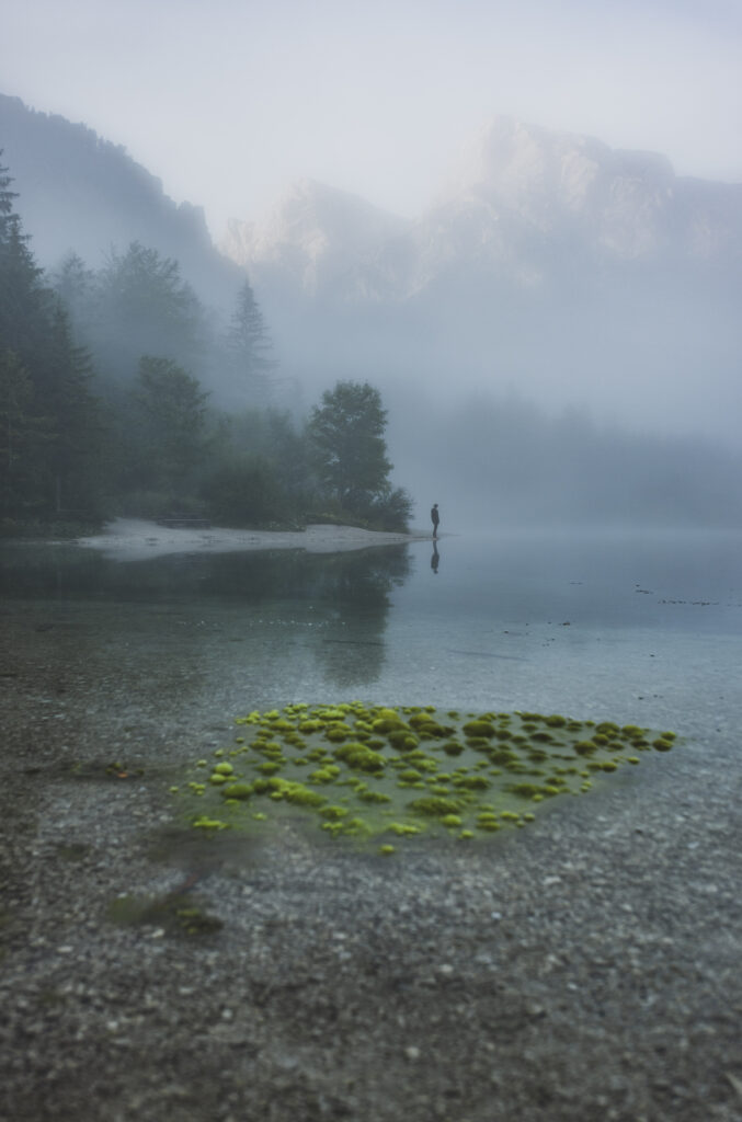 Morgenstimmung mit Nebel am Almsee im Almtal im Salzkammergut, Oberösterreich, Österreich.