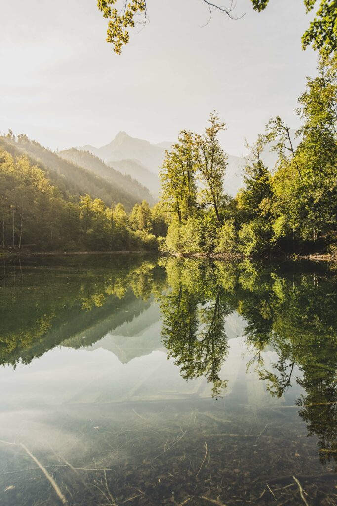 Morgenstimmung am Ödsee im Almtal im Salzkammergut, Oberöstsrreich, Österreich.