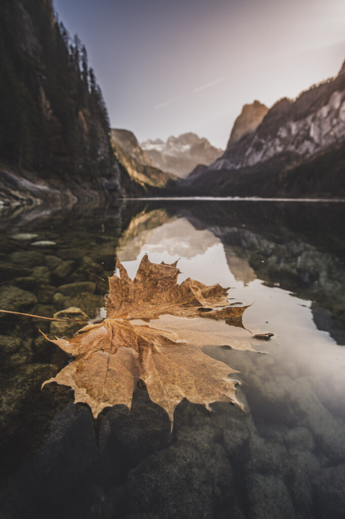 Sonnenaufgang und Herbststimmung am Vorderen Gosausee im Salzkammergut in Oberösterreich, Österreich.