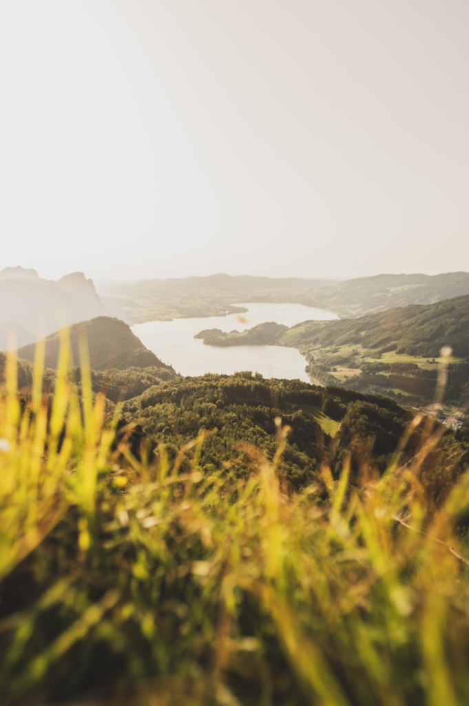 Sonnenuntergang und Blick auf den Mondsee im Sommer im Zuge einer Wanderung auf den Weinkogel am Weg auf die Eisenauer Alm am Fuße des Schafberg, Salzburg, Oberösterreich, Salzburger Land, Salzkammergut, Österreich.