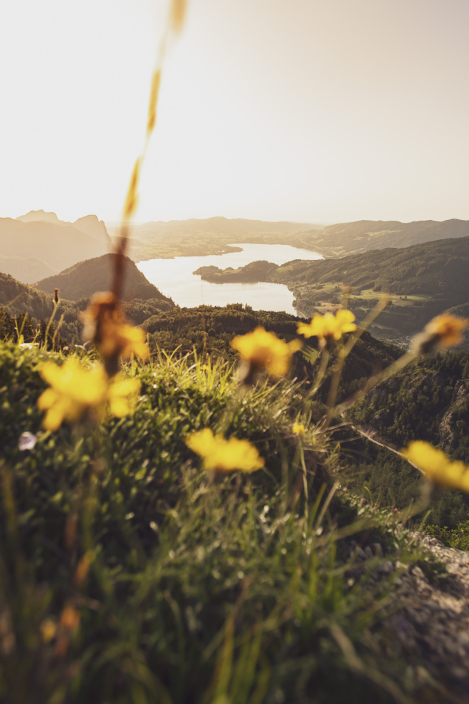 Sonnenuntergang und Blick auf den Mondsee im Sommer im Zuge einer Wanderung auf den Weinkogel am Weg auf die Eisenauer Alm am Fuße des Schafberg, Salzburg, Oberösterreich, Salzburger Land, Salzkammergut, Österreich.