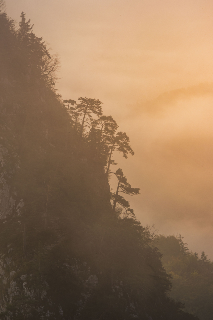 Atemberaubende Morgenstimmung mit Nebel mit Sonnenaufgang auf den Barmsteinen bei Hallein im Salzburger Land, Österreich.