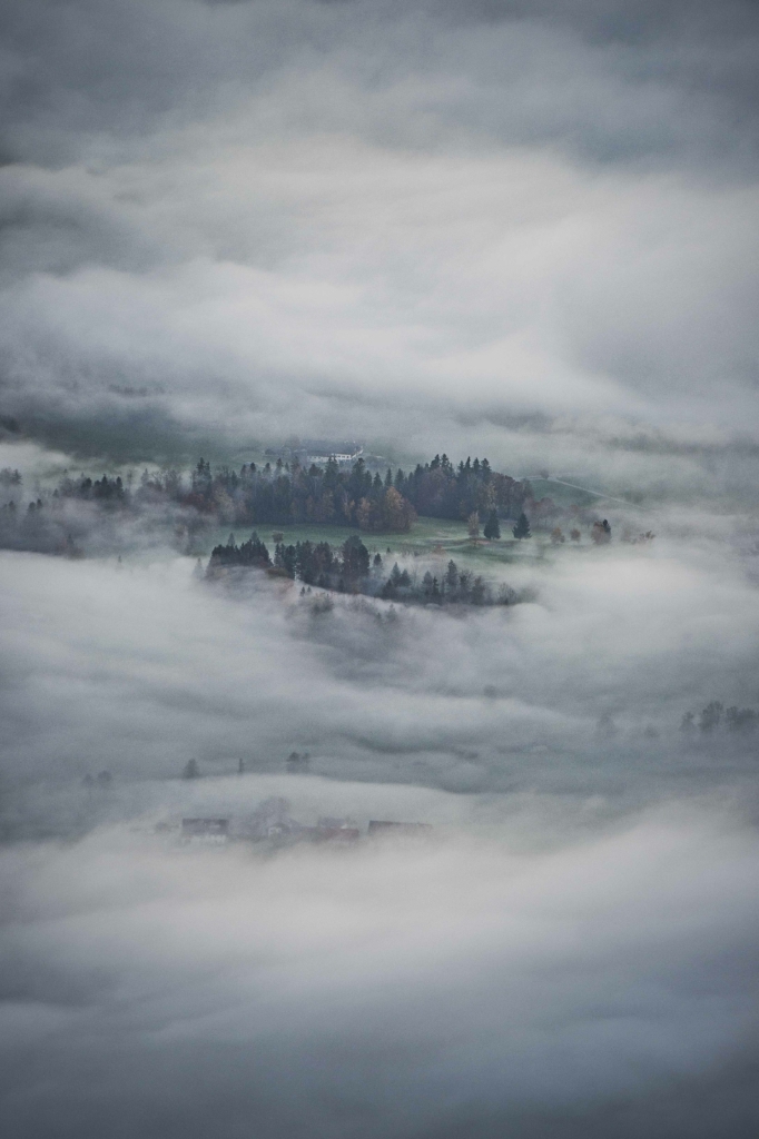 Blick vom Schober auf die Täler und Wälder des Salzburger Thalgau.