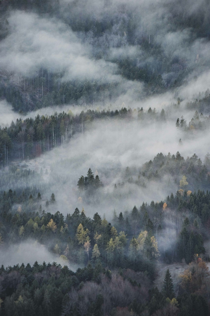 Blick vom Schober auf die Täler und Wälder des Salzburger Thalgau.