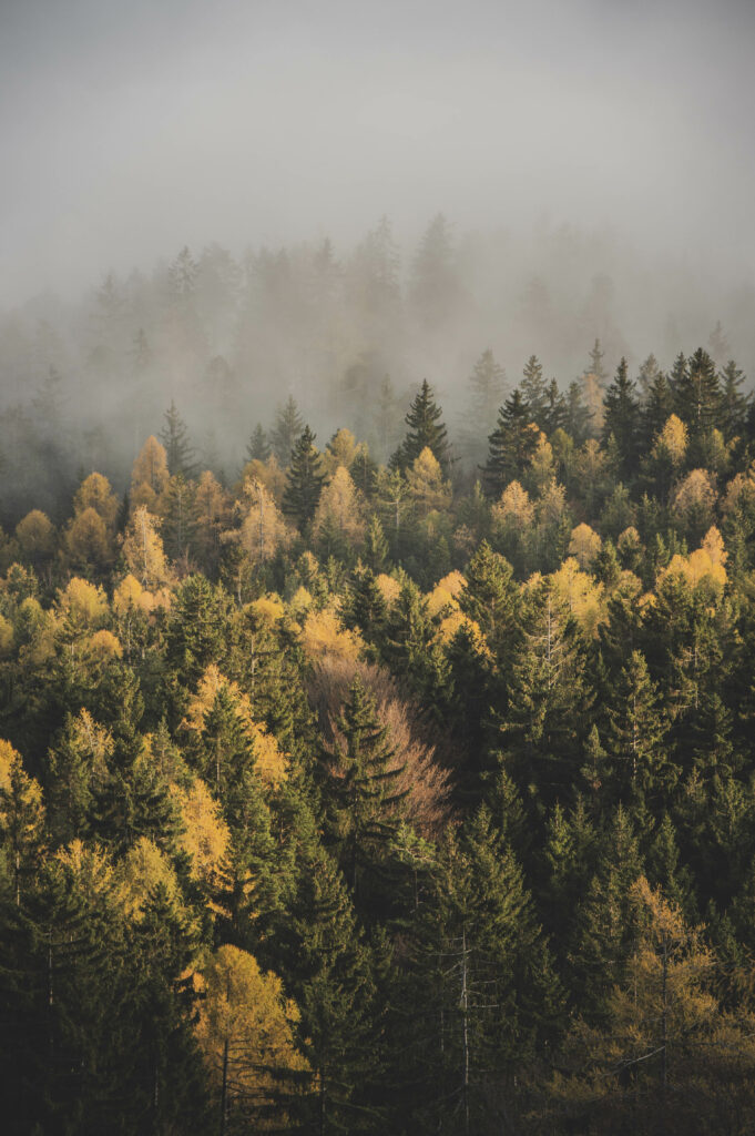 Die Gondeln der Schöckl-Seilbahn bahnen sich ihren Weg durch den herbstlichen Nebel in der Steiermark, Österreich.