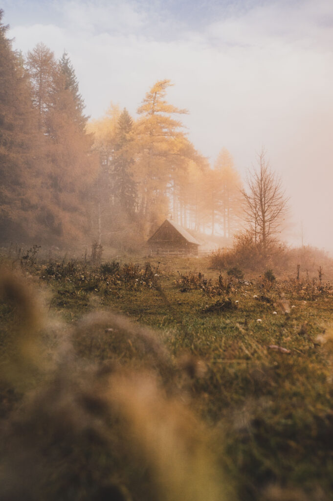 Hütte, Alm und Wald in Nebelstimmung am Röthelstein in der Steiermark, Österreich