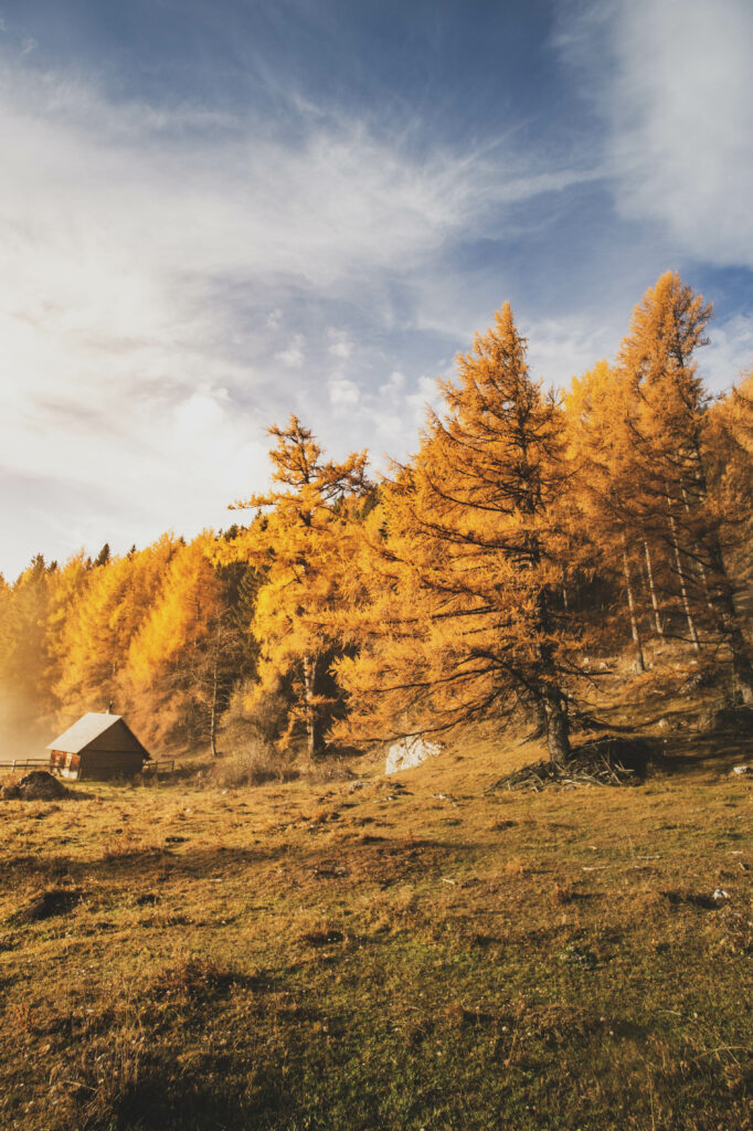 Hütte, Alm und Wald in Nebelstimmung am Röthelstein in der Steiermark, Österreich