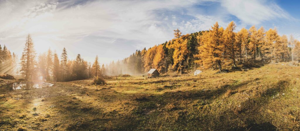 Hütte, Alm und Wald in Nebelstimmung am Röthelstein in der Steiermark, Österreich