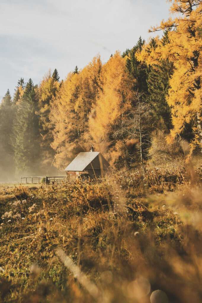 Hütte, Alm und Wald in Nebelstimmung am Röthelstein in der Steiermark, Österreich