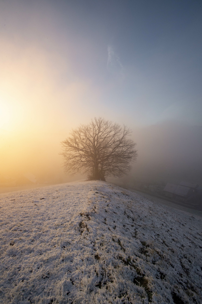 Sonnenaufgang und Nebelstimmung über dem "Mondseeland" in der Nähe des Mondsees an der grenze von Oberösterreich und Salzburg, Österreich.