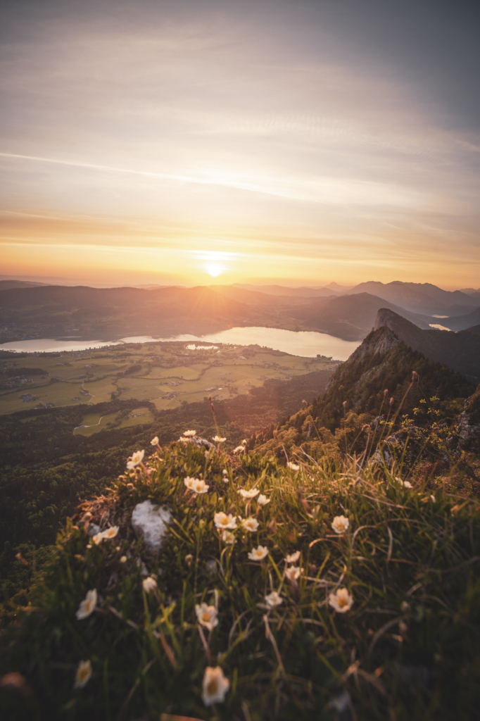Frühlingshafter Sonnenaufgang mit Blick auf die Drachenwand und Mondsee am Schober in den Salzkammergut-Bergen an der Grenze von Oberösterreich und Salzburg, Österreich.