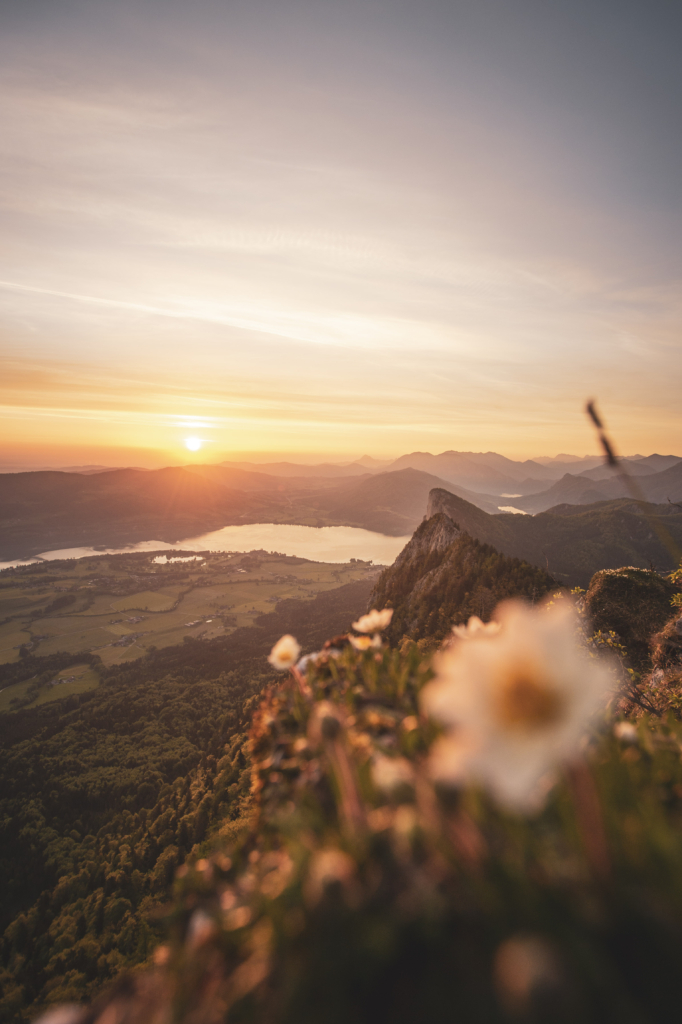 Frühlingshafter Sonnenaufgang mit Blick auf die Drachenwand und Mondsee am Schober in den Salzkammergut-Bergen an der Grenze von Oberösterreich und Salzburg, Österreich.