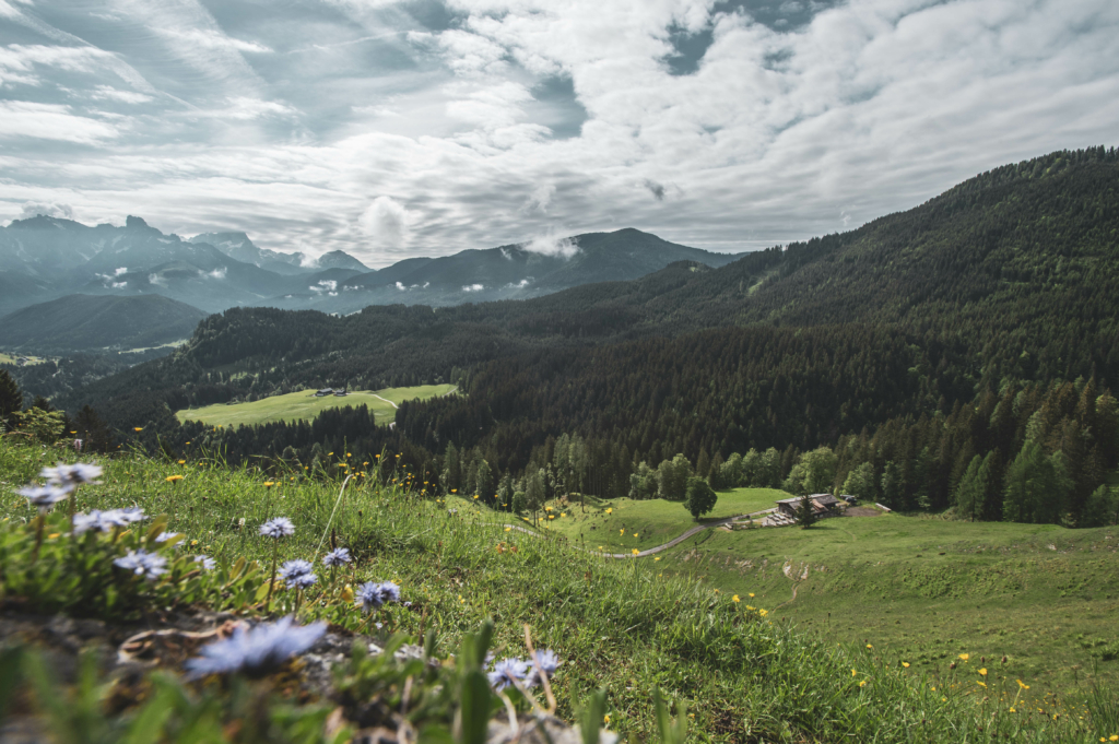 Unterwegs im Lammertaler Urwald in St. Martin am Tennengebirge, Salzburg, Österreich. Im Bild: Spießalm am Weg zum Lammertaler Urwald