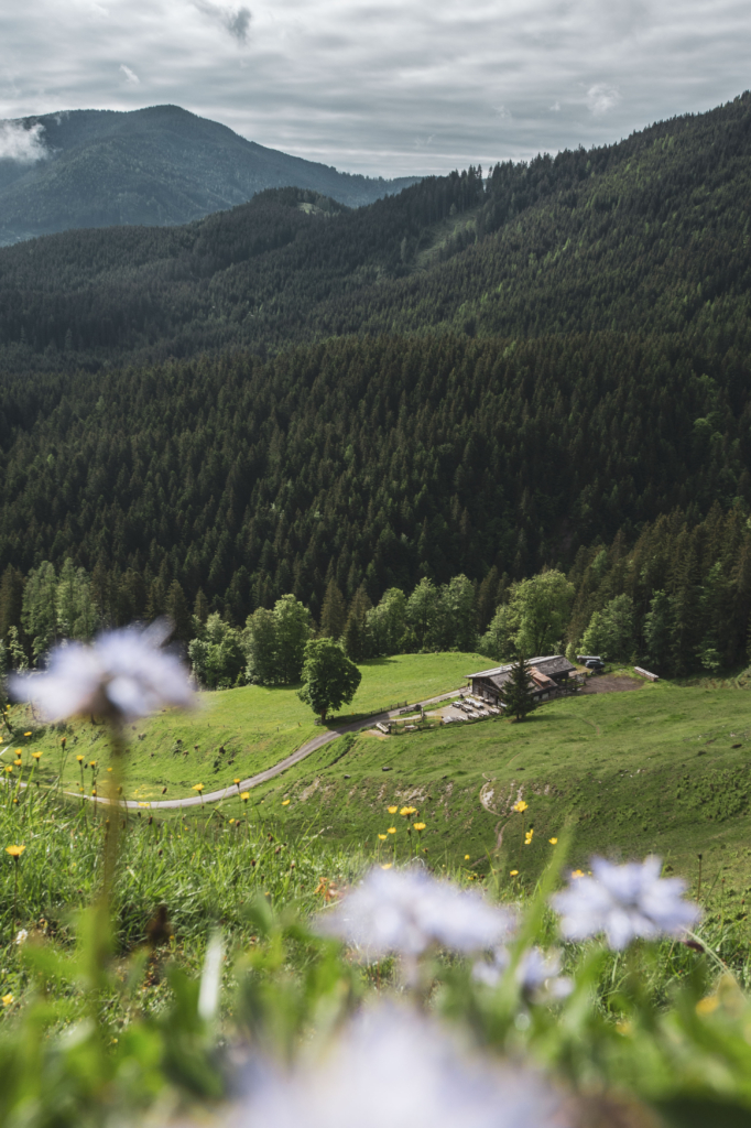 Unterwegs im Lammertaler Urwald in St. Martin am Tennengebirge, Salzburg, Österreich. Im Bild: Spießalm am Weg zum Lammertaler Urwald