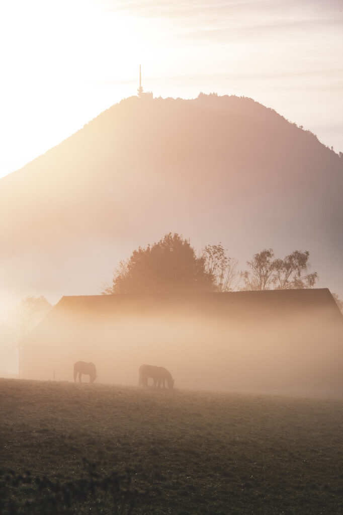 Blick auf den Gaisberg von Maria Plain mit Morgennebel, Salzburg, Österreich.