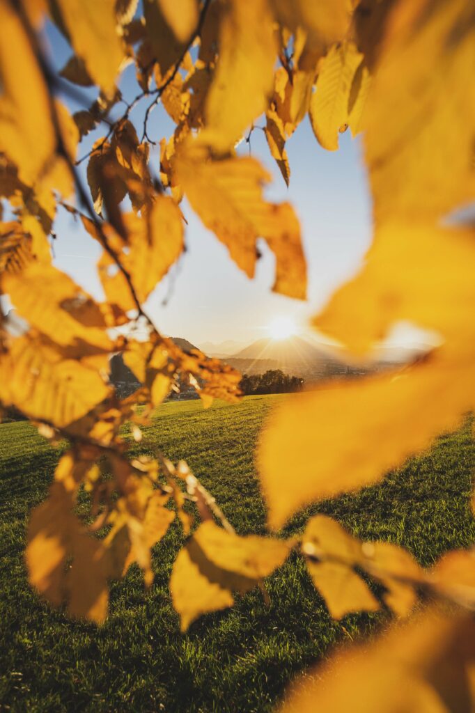 Sonnenuntergang und Aussicht über die Stadt Salzburg im Herbst vom Heuberg, Österreich.