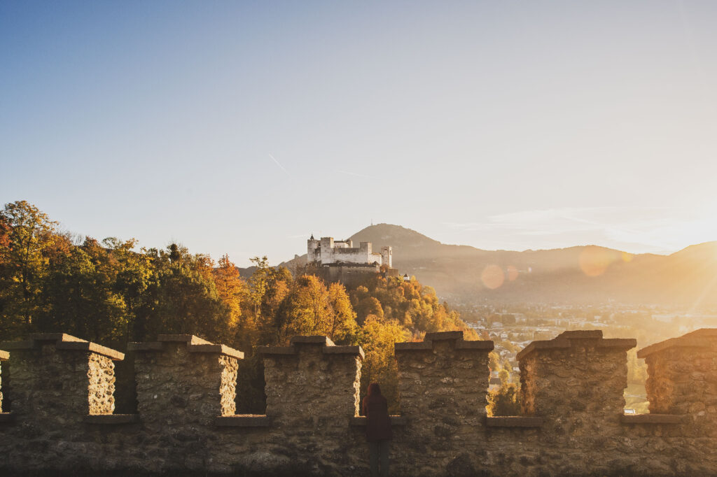 Weinreben im Bertholdszwinger auf der Richterhöhe am Mönchsberg in der Stadt Salzburg, Österreich.