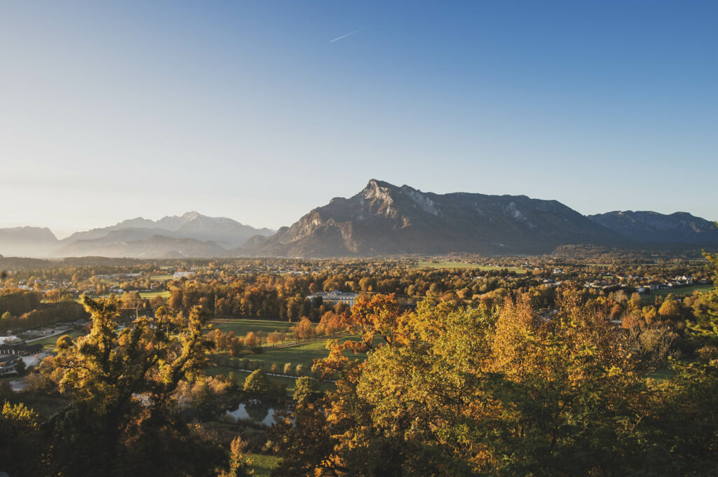 Weinreben im Bertholdszwinger auf der Richterhöhe am Mönchsberg in der Stadt Salzburg, Österreich.