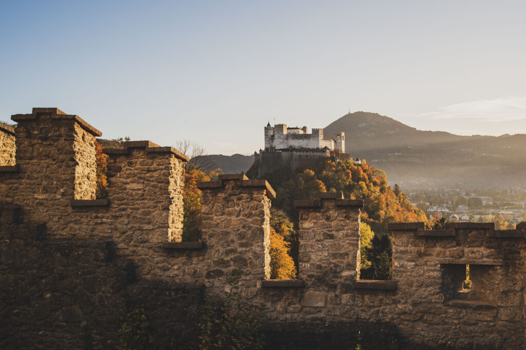 Weinreben im Bertholdszwinger auf der Richterhöhe am Mönchsberg in der Stadt Salzburg, Österreich.