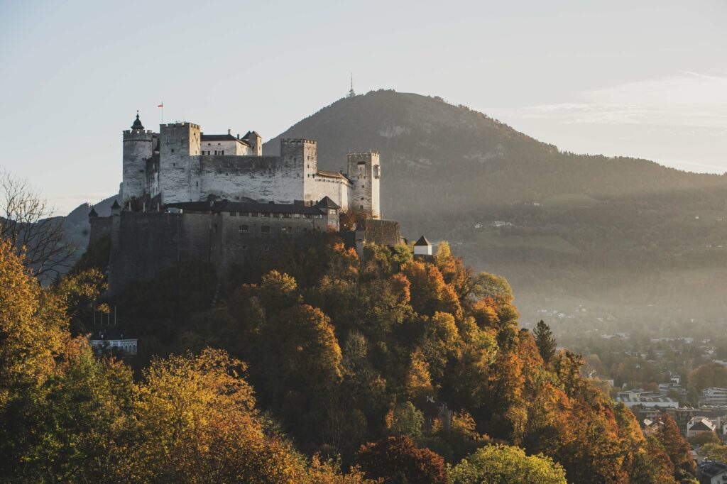 Weinreben im Bertholdszwinger auf der Richterhöhe am Mönchsberg in der Stadt Salzburg, Österreich.