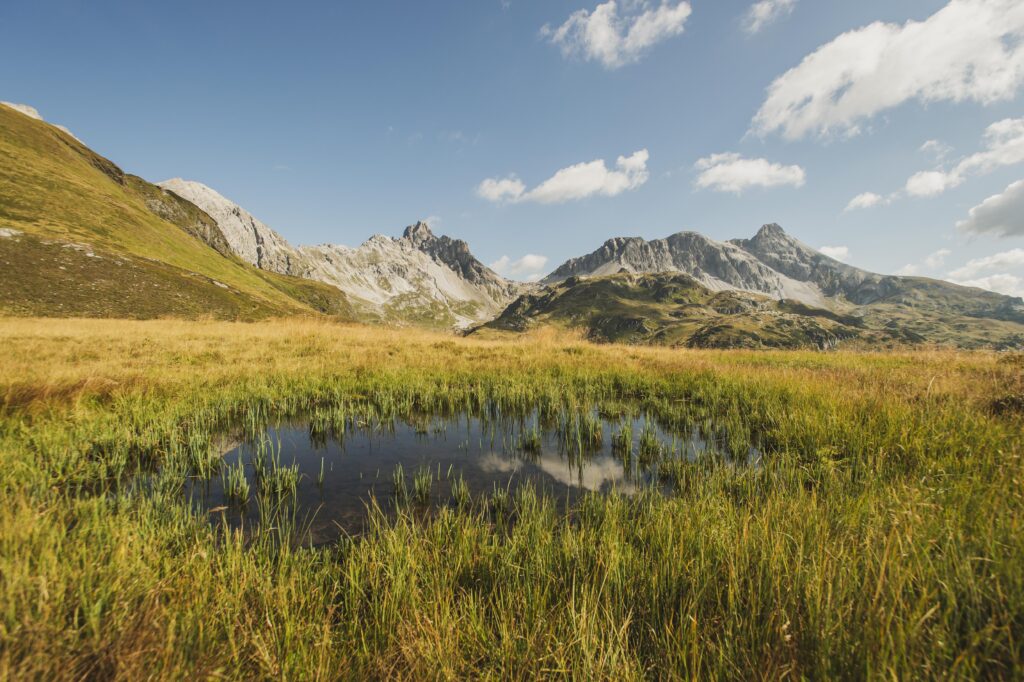 Kleiner Tümpel, kleine Lacke am Höhenweg zwischen der Franz-Fischer-Hütte und der Tappenkarseehütte in den Hohen Tauern im Salzburger Lungau, Salzburg, Österreich.