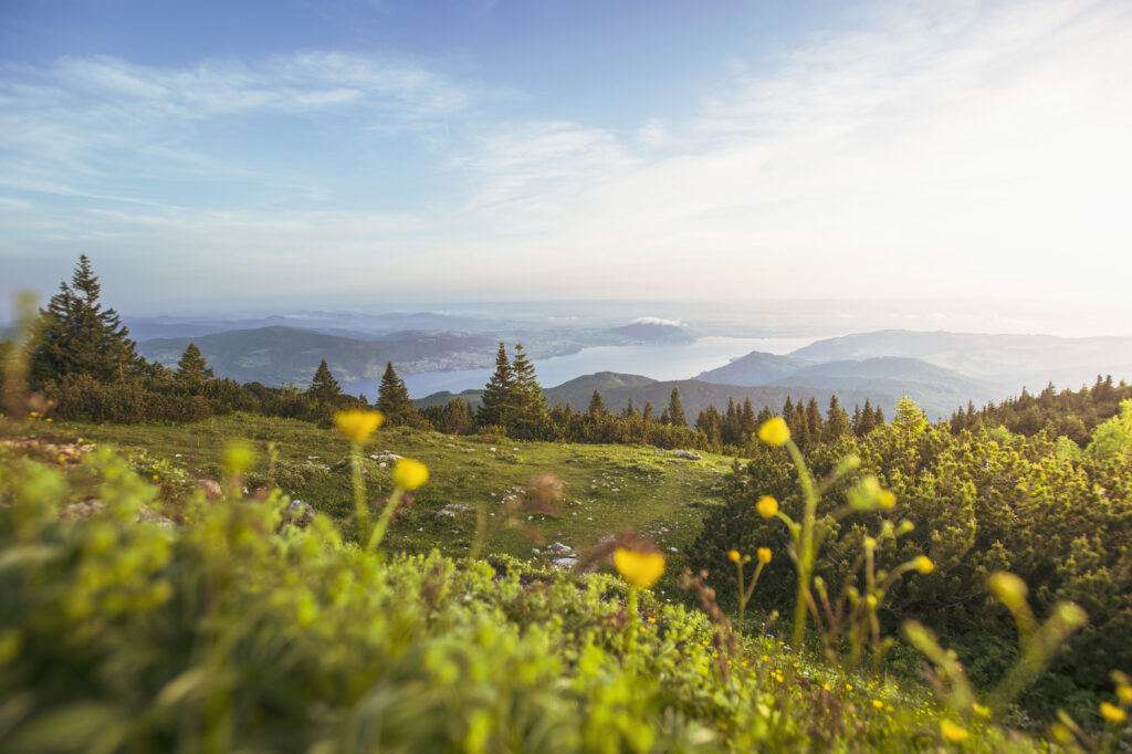 Wanderung von den Langbathseen über den Brunnkogel zum Hochleckenhaus im oberösterreichischen Salzkammergut, dem Höllengebirge, in Österreich.