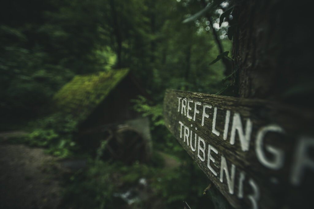 Wanderung zum Trefflingfall in Niederösterreich bei Regen und Nebel, Österreich.