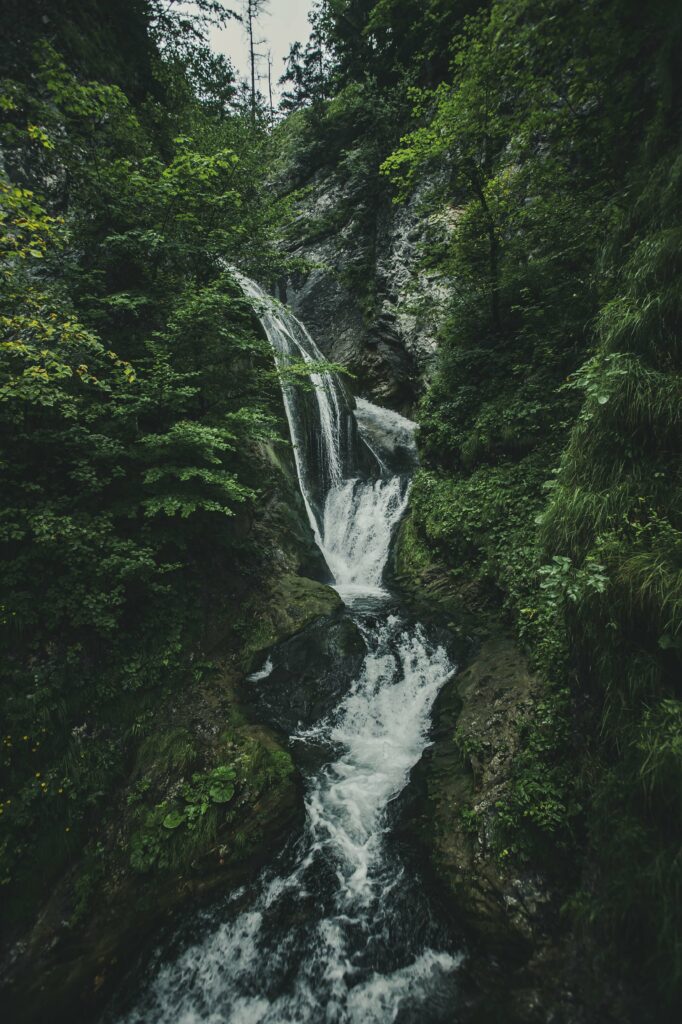 Wanderung zum Trefflingfall in Niederösterreich bei Regen und Nebel, Österreich.